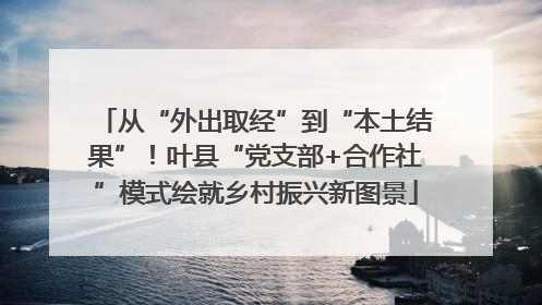 从“外出取经”到“本土结果”！叶县“党支部+合作社”模式绘就乡村振兴新图景