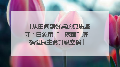 从田间到餐桌的品质坚守：白象用“一碗面”解码健康主食升级密码