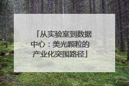从实验室到数据中心：美光颗粒的产业化突围路径