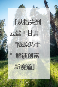 从指尖到云端！甘肃“陇原巧手”解锁创富新赛道