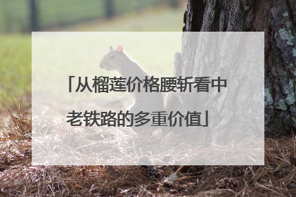 从榴莲价格腰斩看中老铁路的多重价值