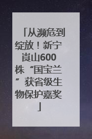 从濒危到绽放！新宁崀山600株“国宝兰”获省级生物保护嘉奖