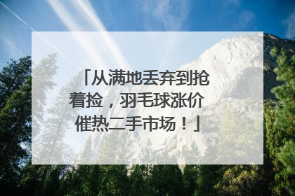 从满地丢弃到抢着捡，羽毛球涨价催热二手市场！