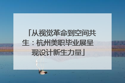 从视觉革命到空间共生：杭州美职毕业展呈现设计新生力量