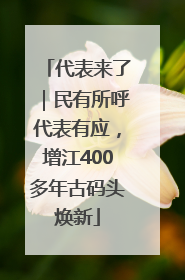 代表来了｜民有所呼代表有应，增江400多年古码头焕新