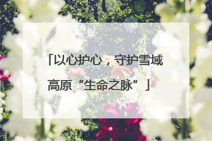 以心护心，守护雪域高原“生命之脉”