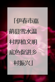 伊春市嘉荫县雪水温村厚植文明底色促进乡村振兴