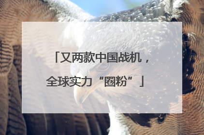 又两款中国战机，全球实力“圈粉”