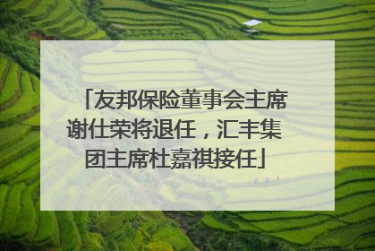友邦保险董事会主席谢仕荣将退任，汇丰集团主席杜嘉祺接任