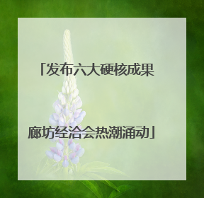 发布六大硬核成果 廊坊经洽会热潮涌动