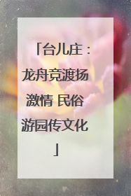 台儿庄：龙舟竞渡扬激情 民俗游园传文化