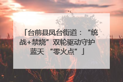 台前县凤台街道：“统战+禁烧”双轮驱动守护蓝天 “零火点”