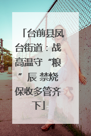 台前县凤台街道：战高温守“粮”辰 禁烧保收多管齐下