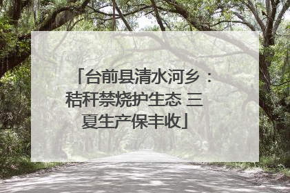 台前县清水河乡：秸秆禁烧护生态 三夏生产保丰收