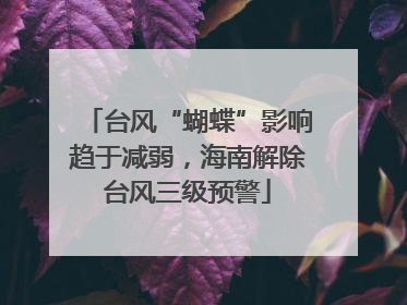 台风“蝴蝶”影响趋于减弱，海南解除台风三级预警