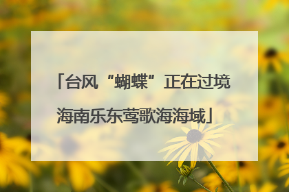 台风“蝴蝶”正在过境海南乐东莺歌海海域