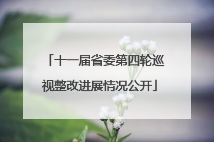 十一届省委第四轮巡视整改进展情况公开