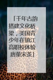 千年古韵搭建文化桥梁，美国青少年在镇江高职校体验唐菓宋茶