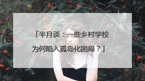 半月谈：一些乡村学校为何陷入孤岛化困局？
