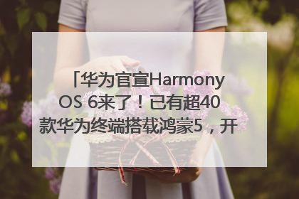 华为官宣HarmonyOS 6来了！已有超40款华为终端搭载鸿蒙5，开发者突破800万