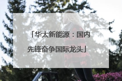华太新能源：国内先锋奋争国际龙头