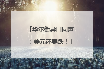 华尔街异口同声：美元还要跌！