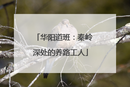 华阳道班：秦岭深处的养路工人