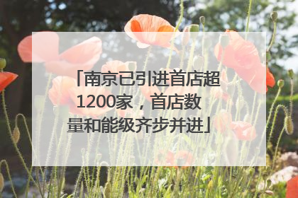 南京已引进首店超1200家，首店数量和能级齐步并进