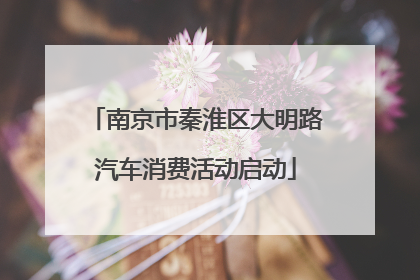 南京市秦淮区大明路汽车消费活动启动