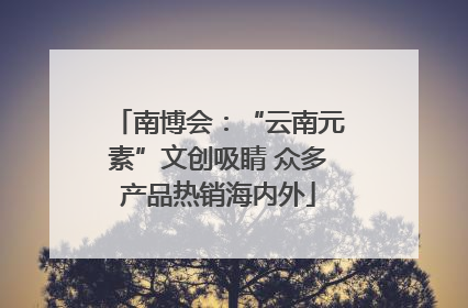 南博会：“云南元素”文创吸睛 众多产品热销海内外
