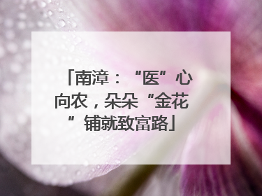 南漳：“医”心向农，朵朵“金花”铺就致富路