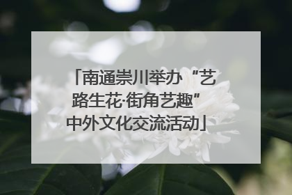 南通崇川举办“艺路生花·街角艺趣”中外文化交流活动