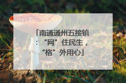 南通通州五接镇：“网”住民生，“格”外用心