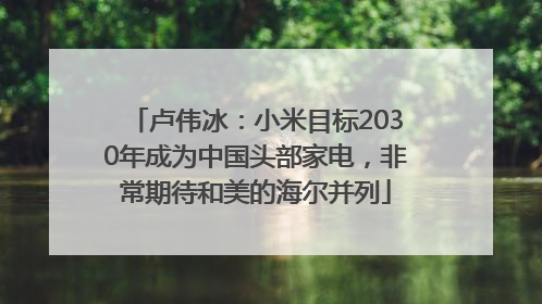 卢伟冰：小米目标2030年成为中国头部家电，非常期待和美的海尔并列