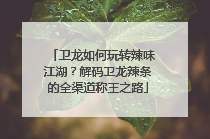 卫龙如何玩转辣味江湖？解码卫龙辣条的全渠道称王之路