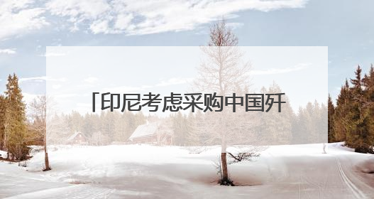 印尼考虑采购中国歼-10战斗机，正评估性能与成本优势