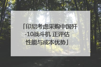 印尼考虑采购中国歼-10战斗机 正评估性能与成本优势