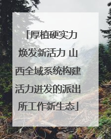 厚植硬实力 焕发新活力 山西全域系统构建活力迸发的派出所工作新生态