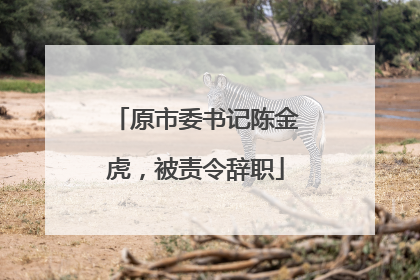 原市委书记陈金虎，被责令辞职