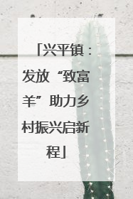 兴平镇：发放“致富羊”助力乡村振兴启新程