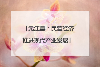 元江县：民营经济推进现代产业发展