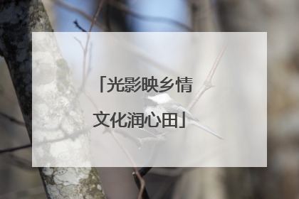 光影映乡情 文化润心田