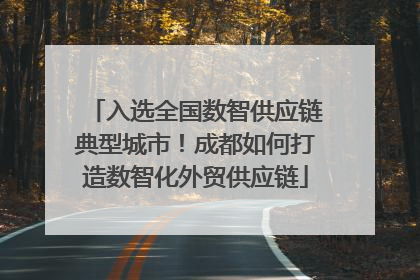 入选全国数智供应链典型城市！成都如何打造数智化外贸供应链
