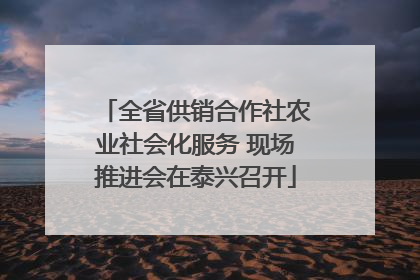 全省供销合作社农业社会化服务 现场推进会在泰兴召开