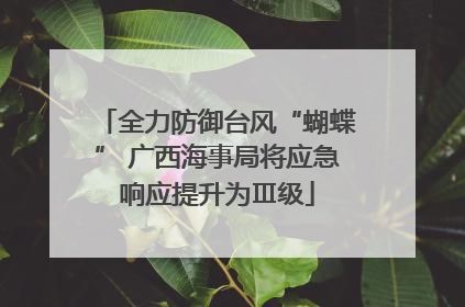 全力防御台风“蝴蝶” 广西海事局将应急响应提升为Ⅲ级