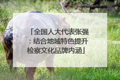 全国人大代表张强：结合地域特色提升检察文化品牌内涵