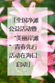 全国净滩公益活动暨“美丽岸滩”青春先行活动在海口启动