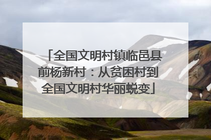 全国文明村镇临邑县前杨新村：从贫困村到全国文明村华丽蜕变