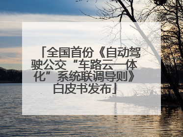 全国首份《自动驾驶公交“车路云一体化”系统联调导则》白皮书发布