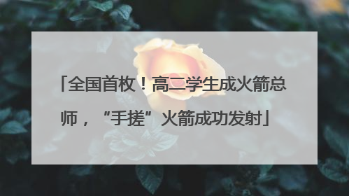 全国首枚！高二学生成火箭总师，“手搓”火箭成功发射